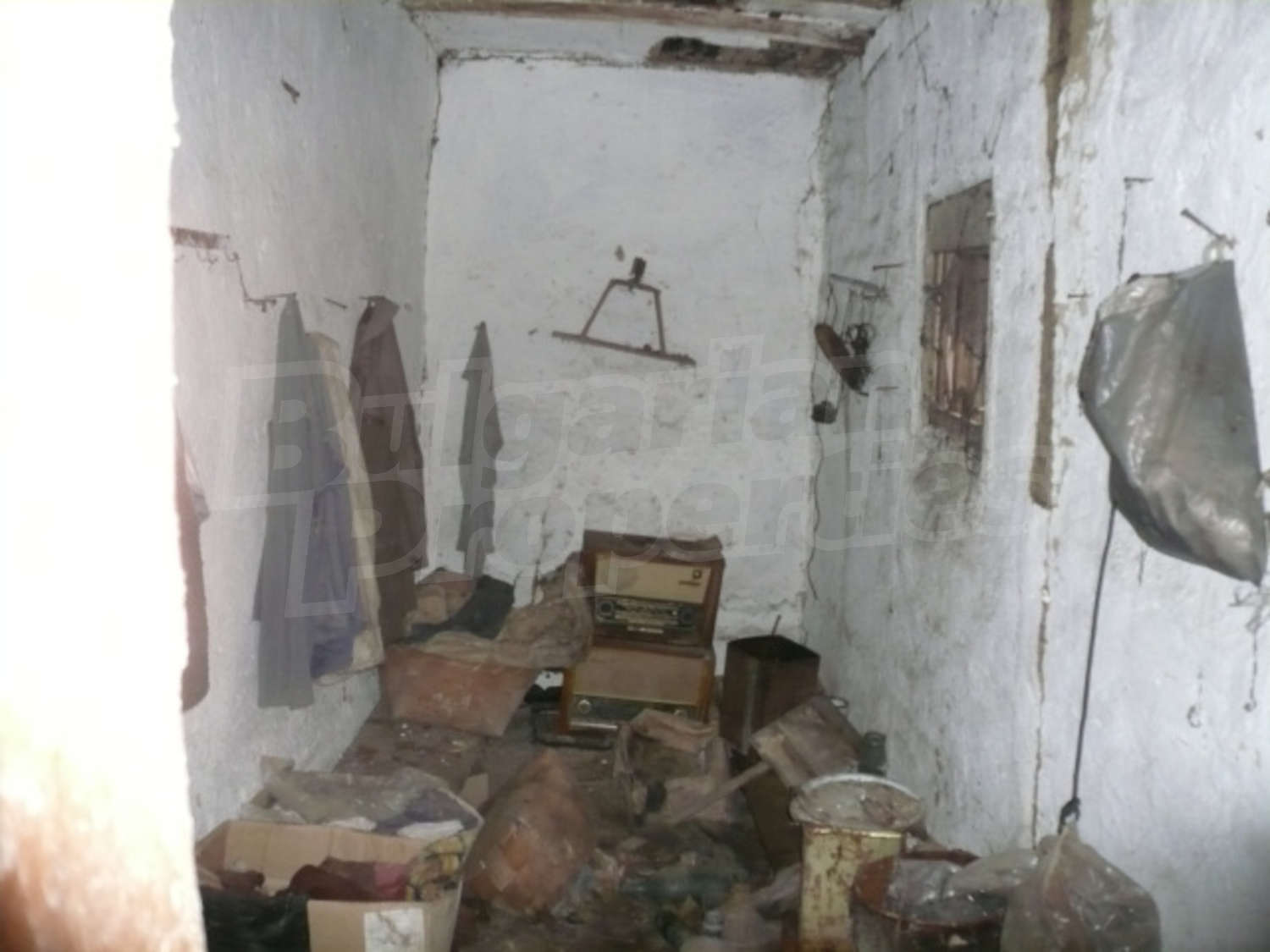 Gallery Picture 10