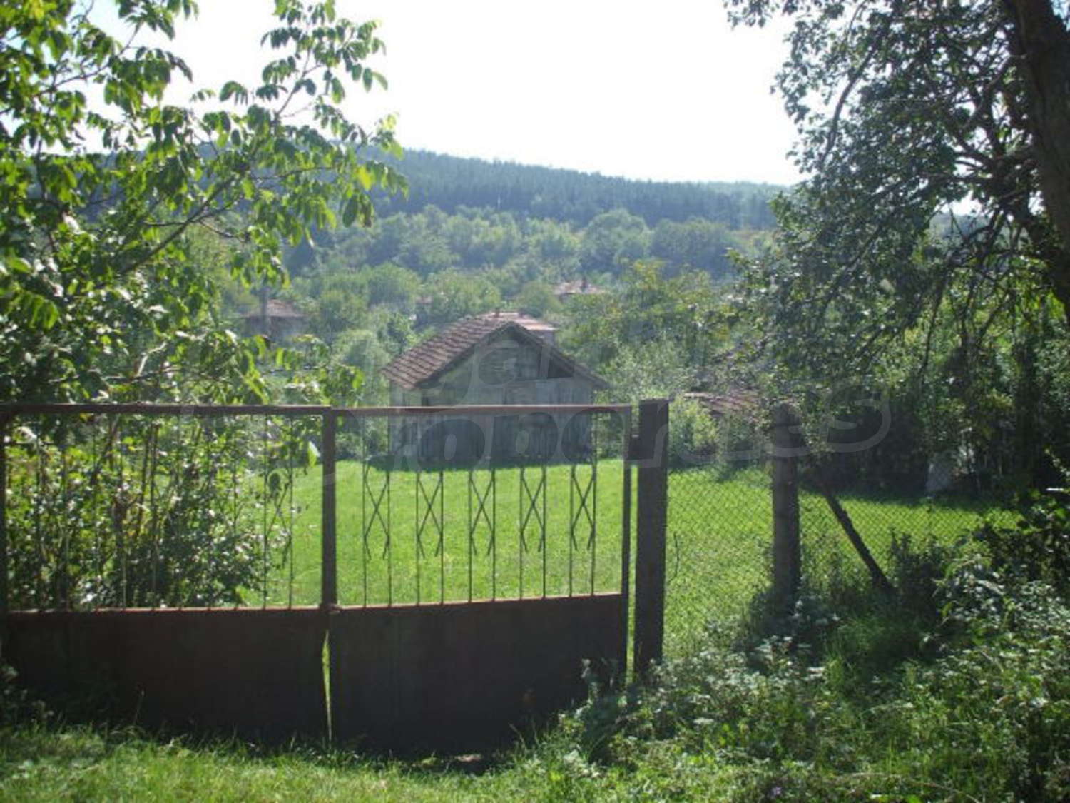 Gallery Picture 15