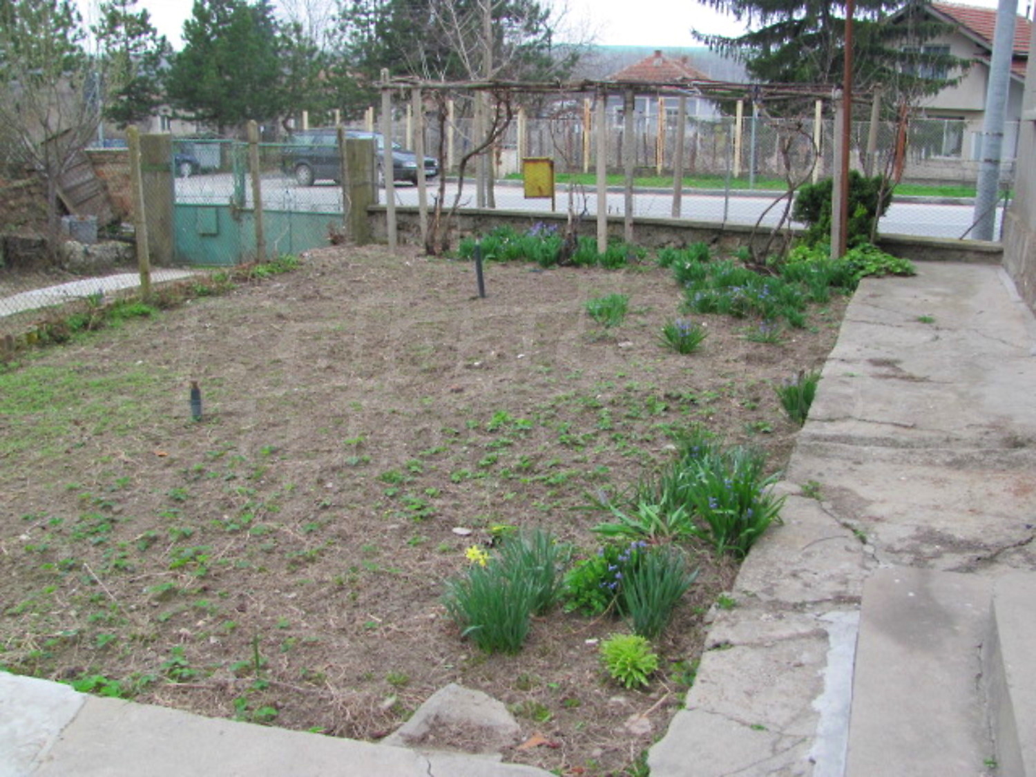 Gallery Picture 17
