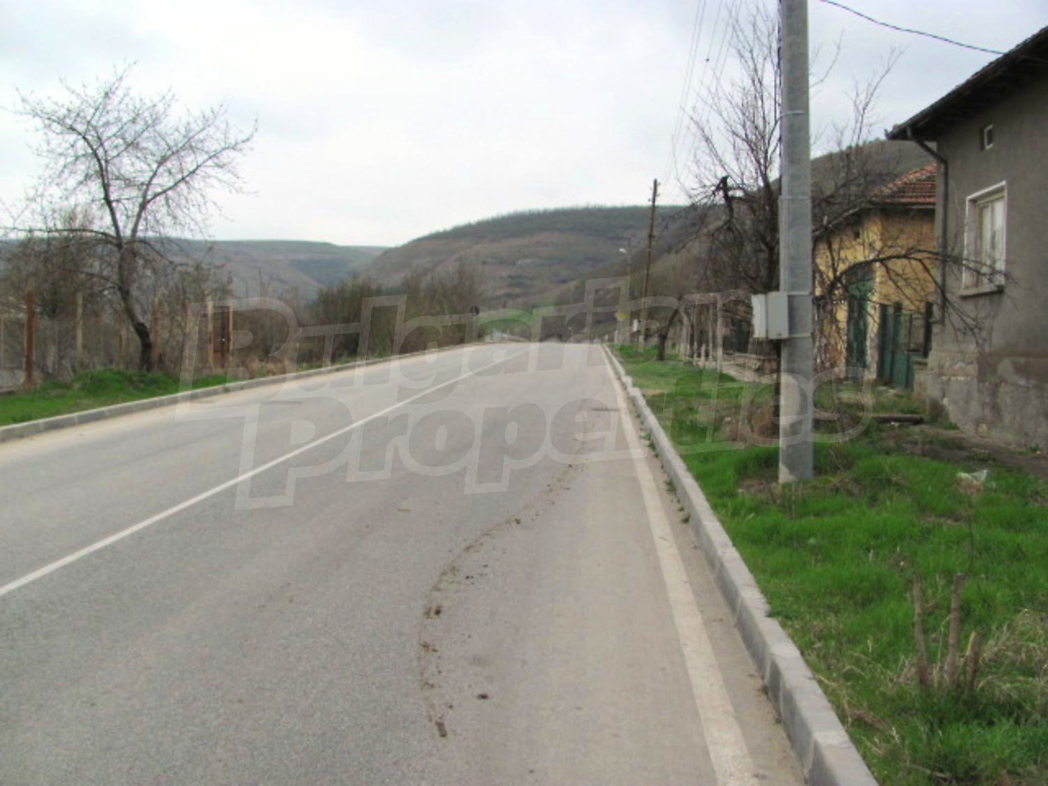 Gallery Picture 20