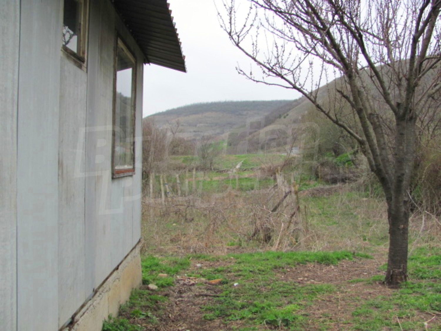 Gallery Picture 5