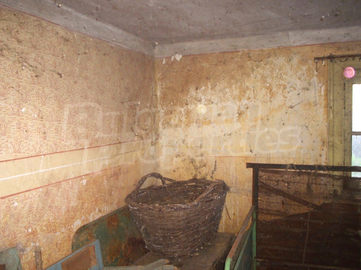 Gallery Picture 10