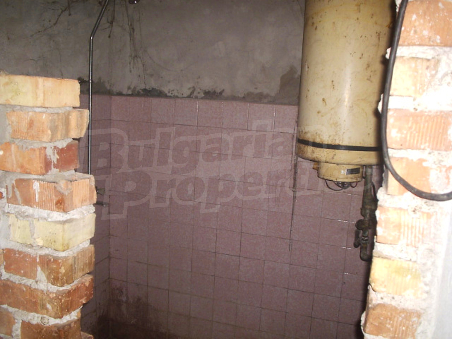 Gallery Picture 13