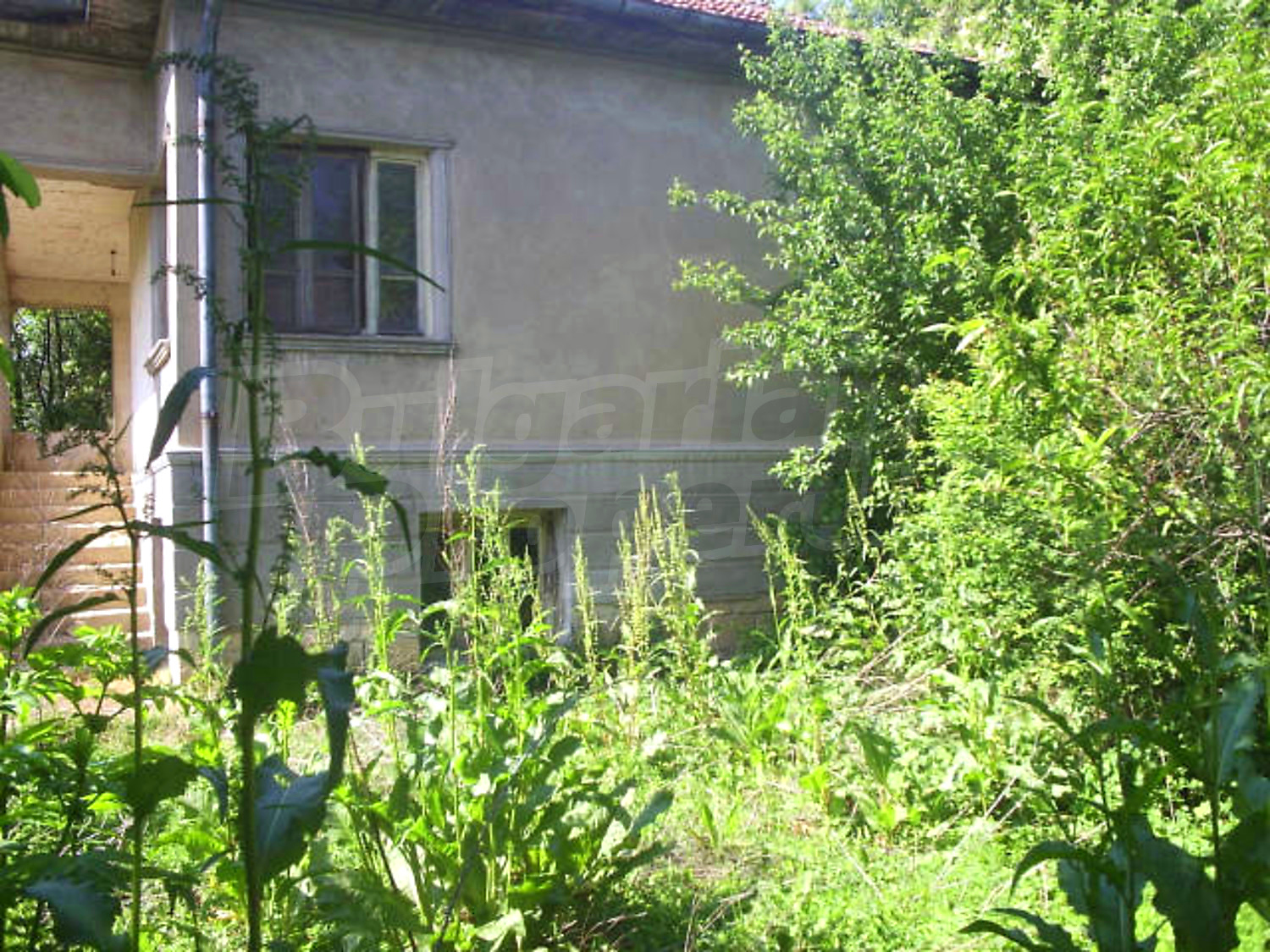 Gallery Picture 15