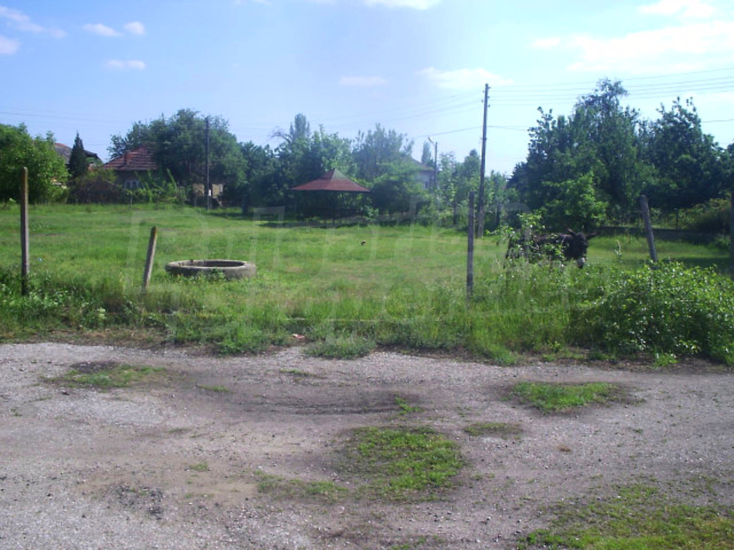 Gallery Picture 18