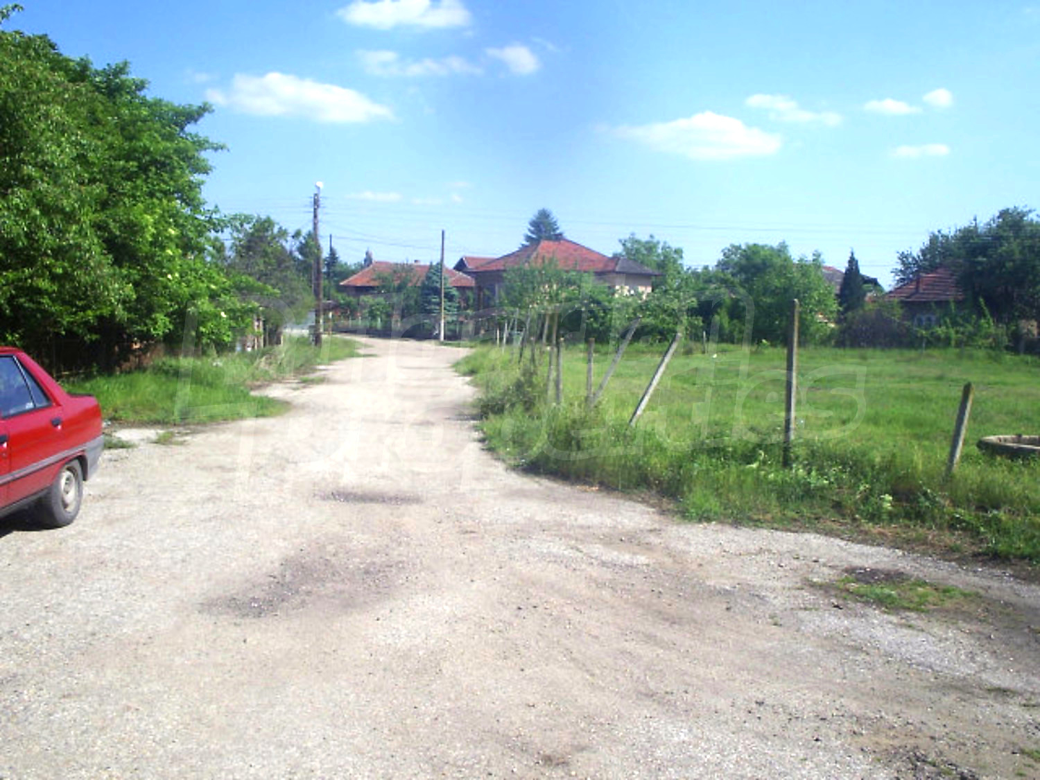 Gallery Picture 19
