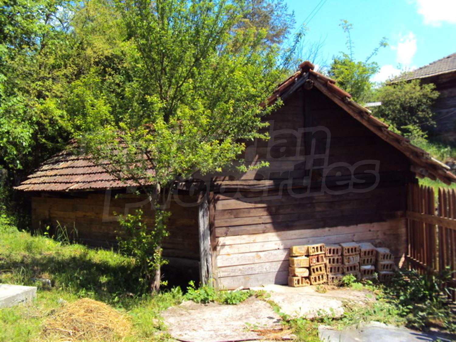 Gallery Picture 3