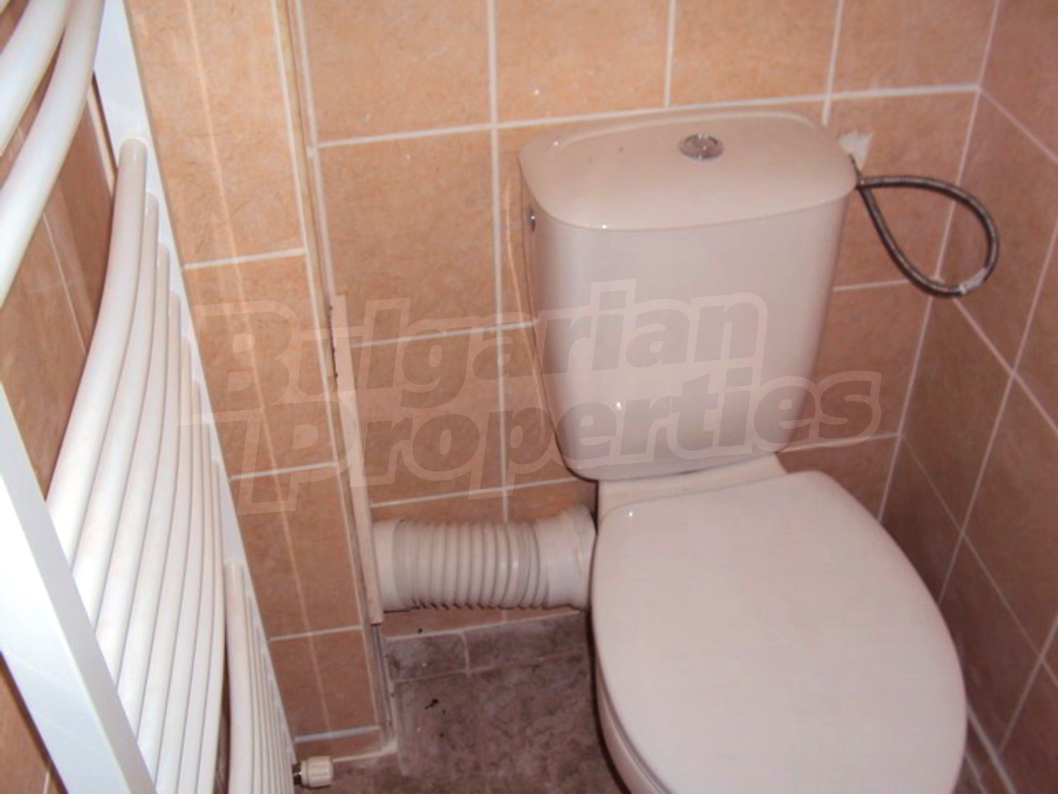 Gallery Picture 30