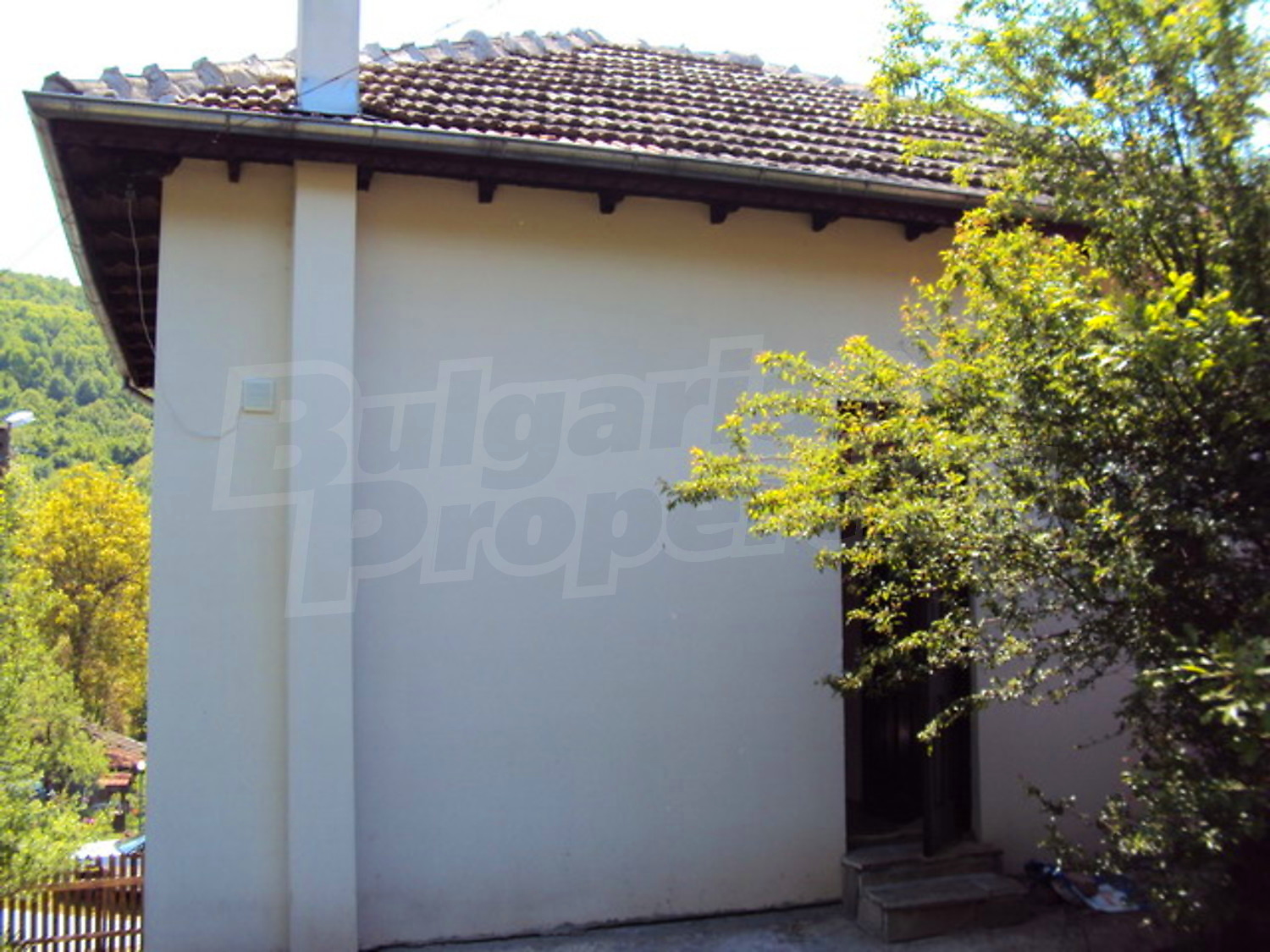 Gallery Picture 34