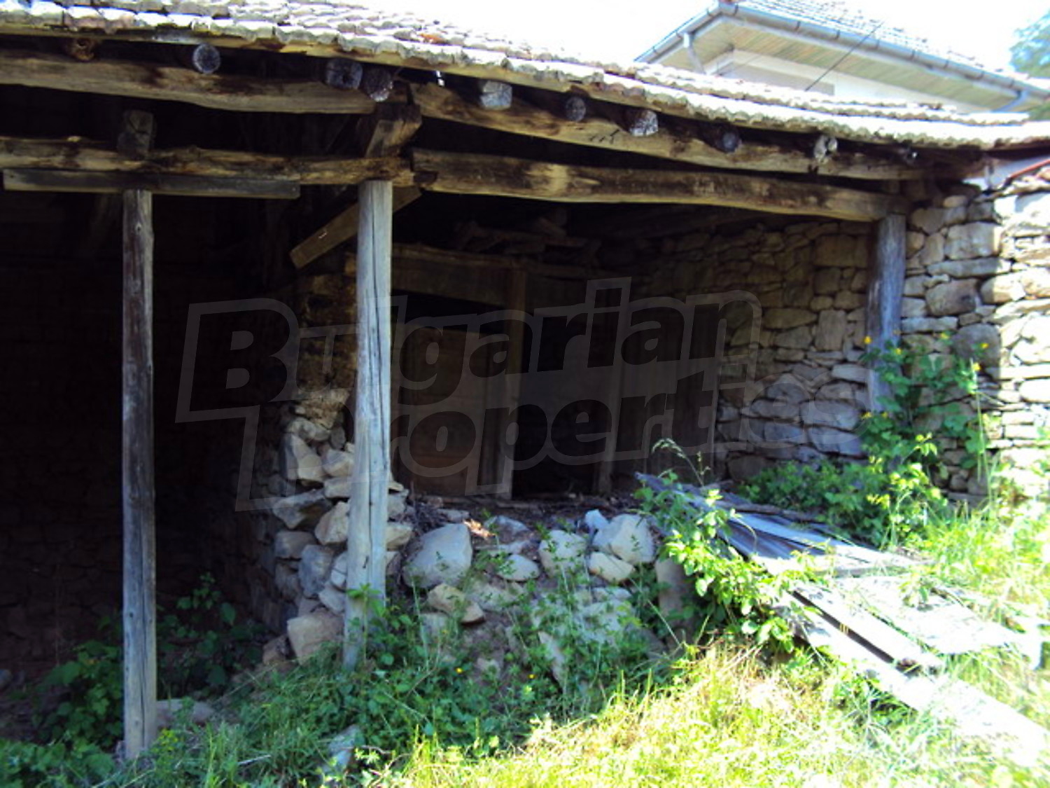 Gallery Picture 36