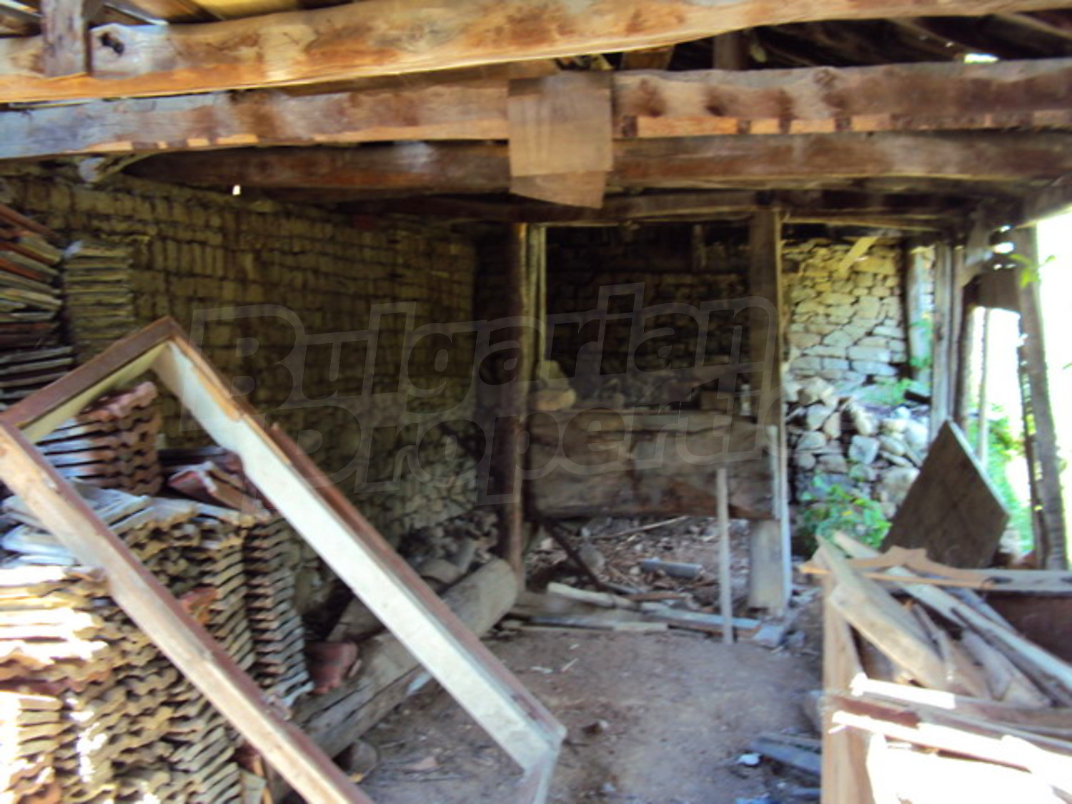 Gallery Picture 37