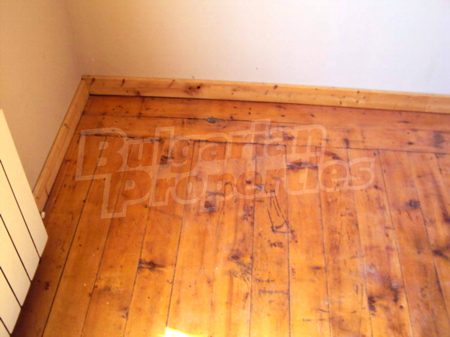 Gallery Picture 38