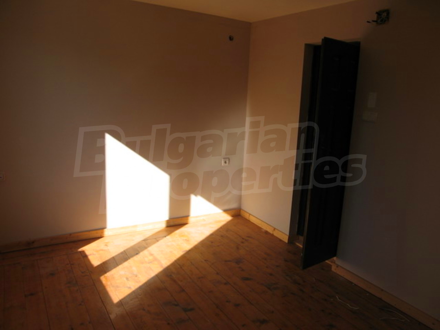 Gallery Picture 8