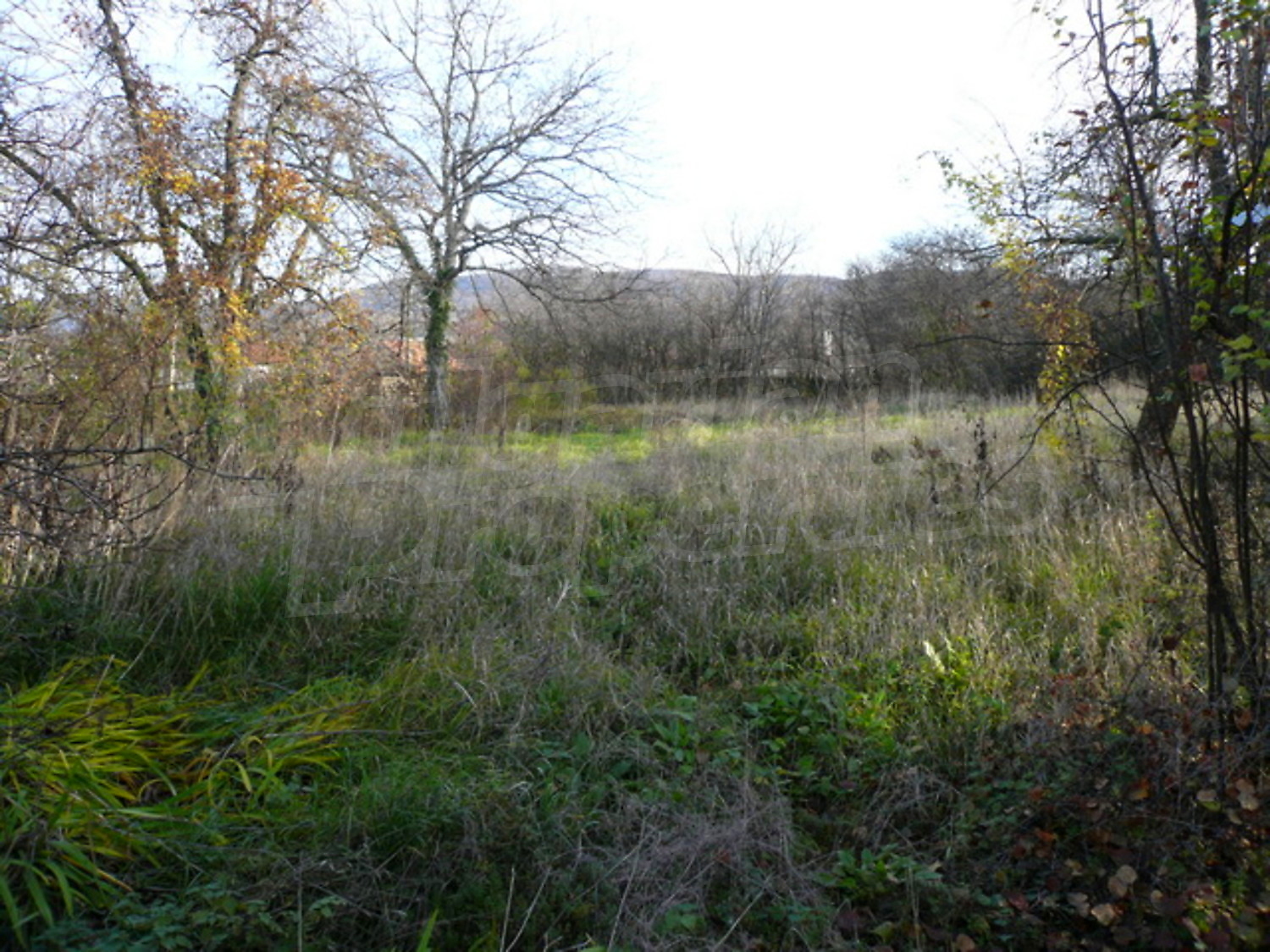 Gallery Picture 13