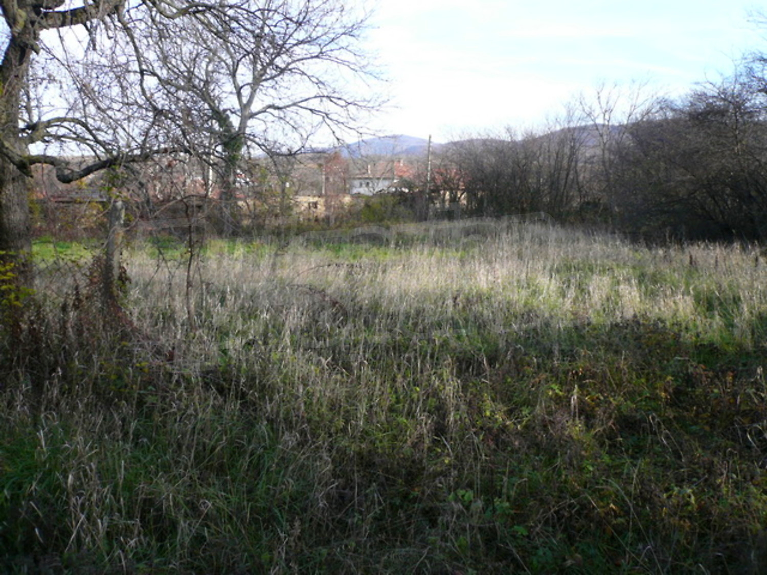 Gallery Picture 14