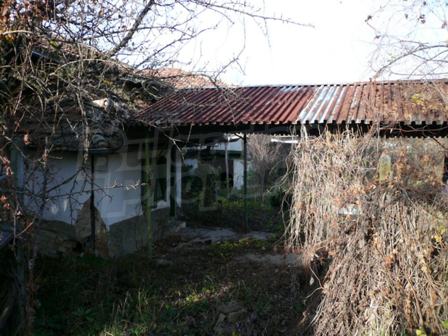 Gallery Picture 16