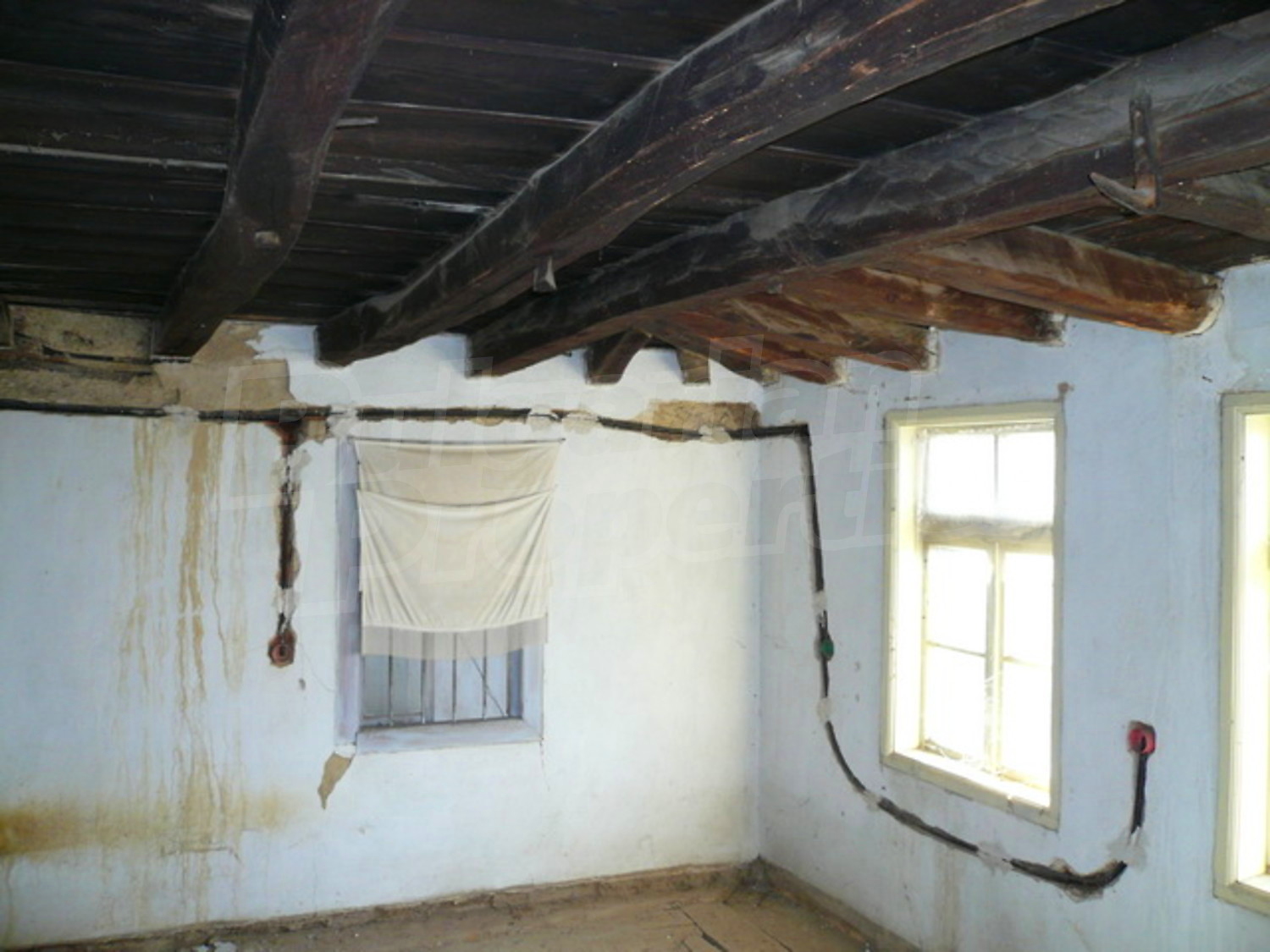 Gallery Picture 5