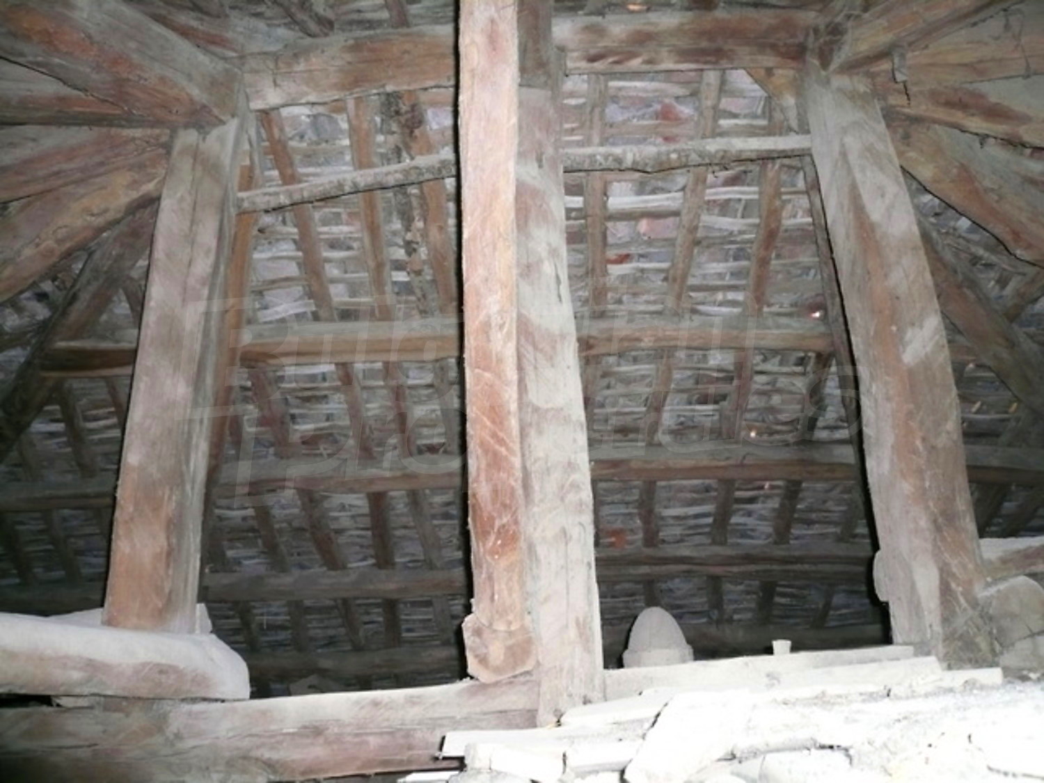 Gallery Picture 7