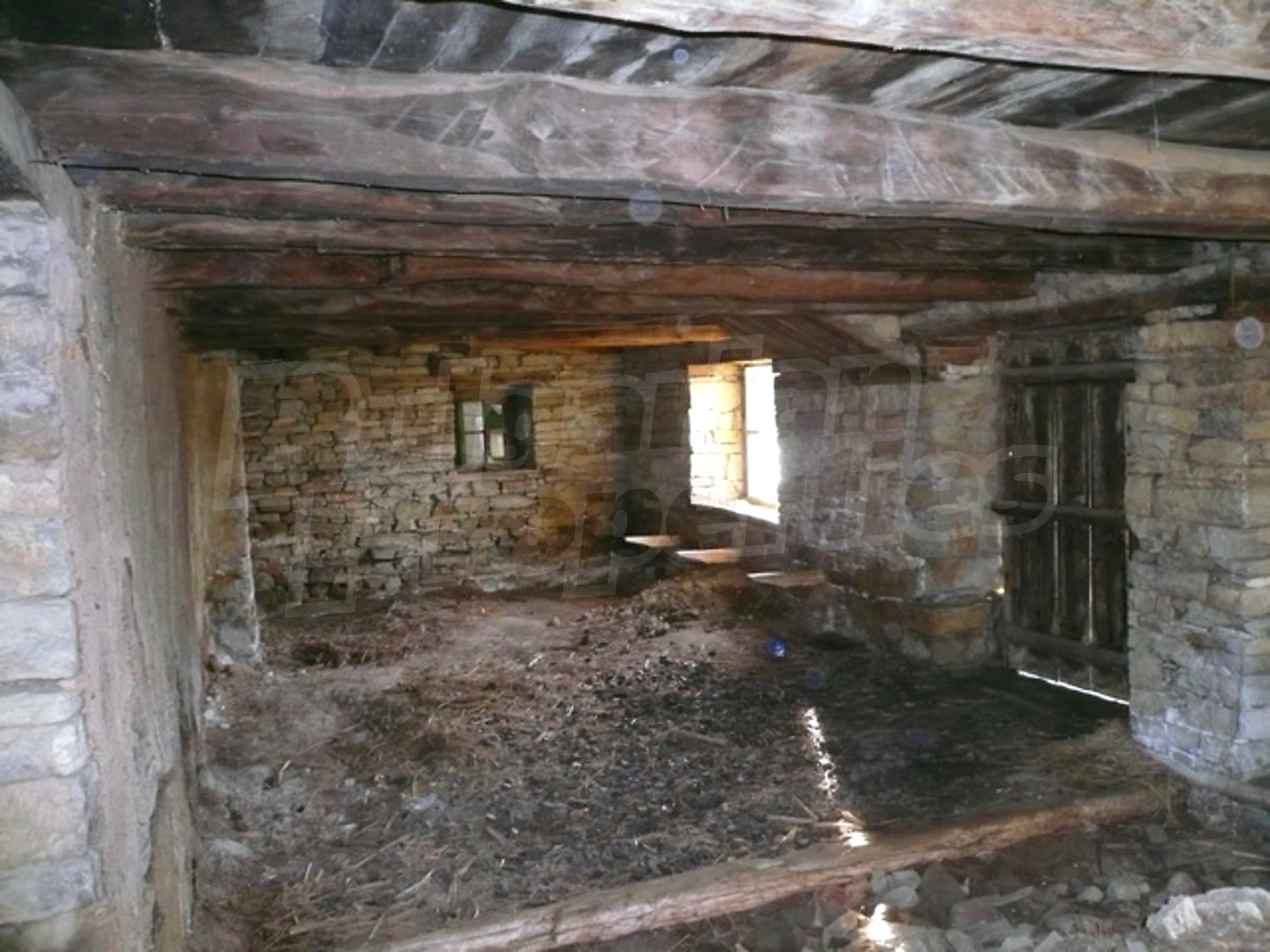 Gallery Picture 8
