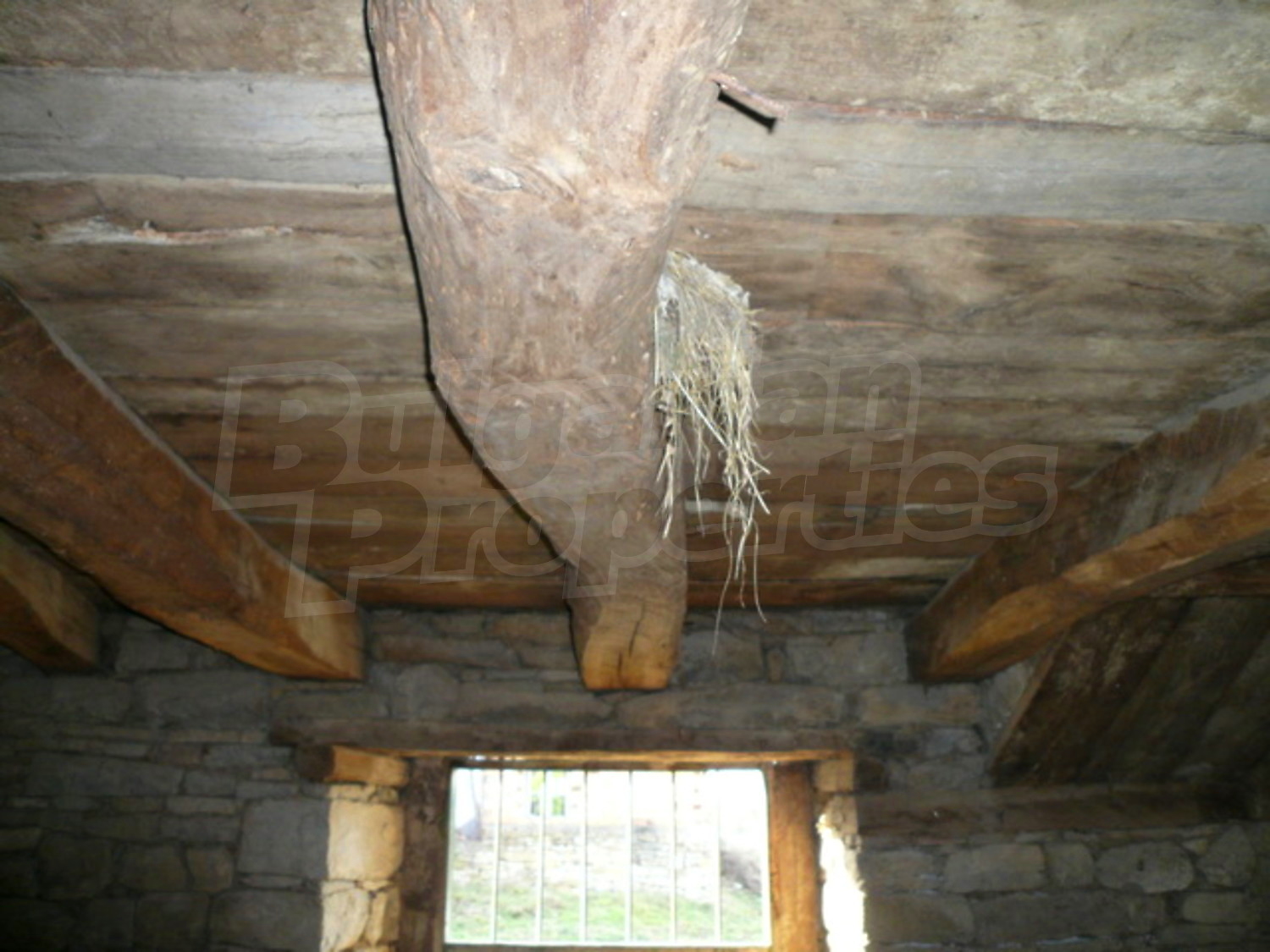 Gallery Picture 9