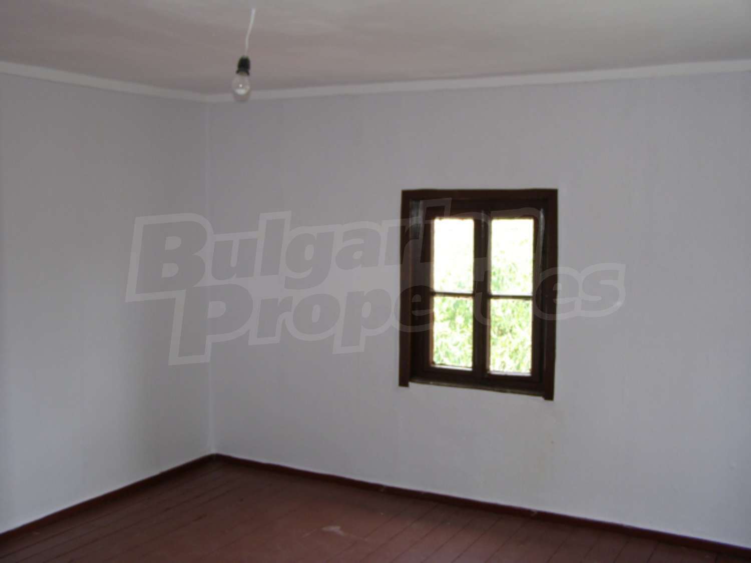 Gallery Picture 15
