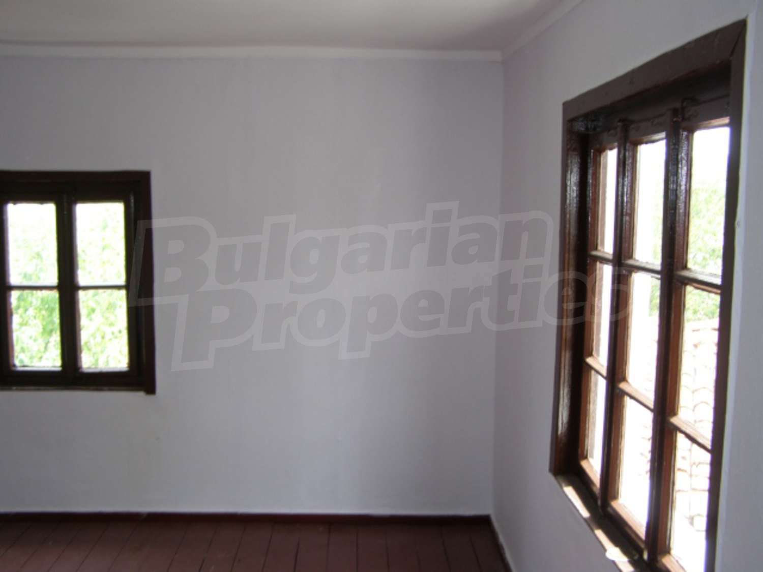 Gallery Picture 16