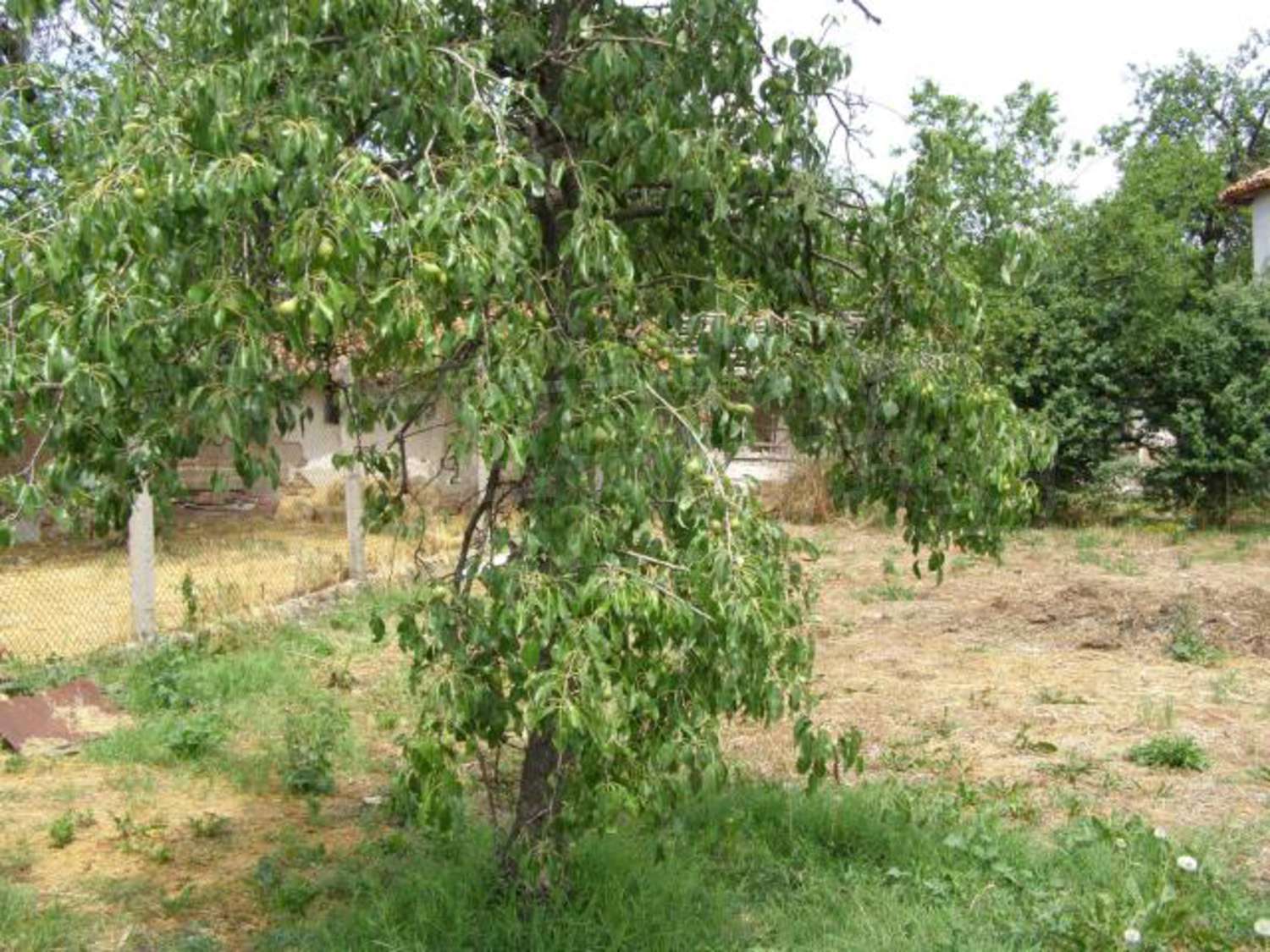 Gallery Picture 22