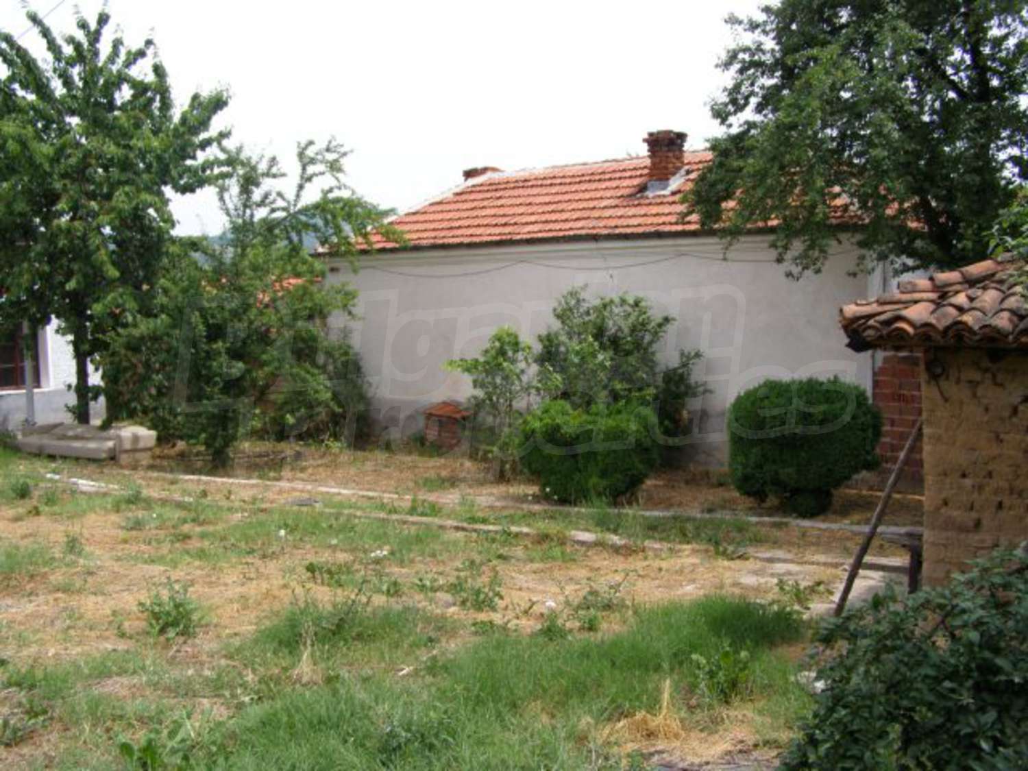 Gallery Picture 23