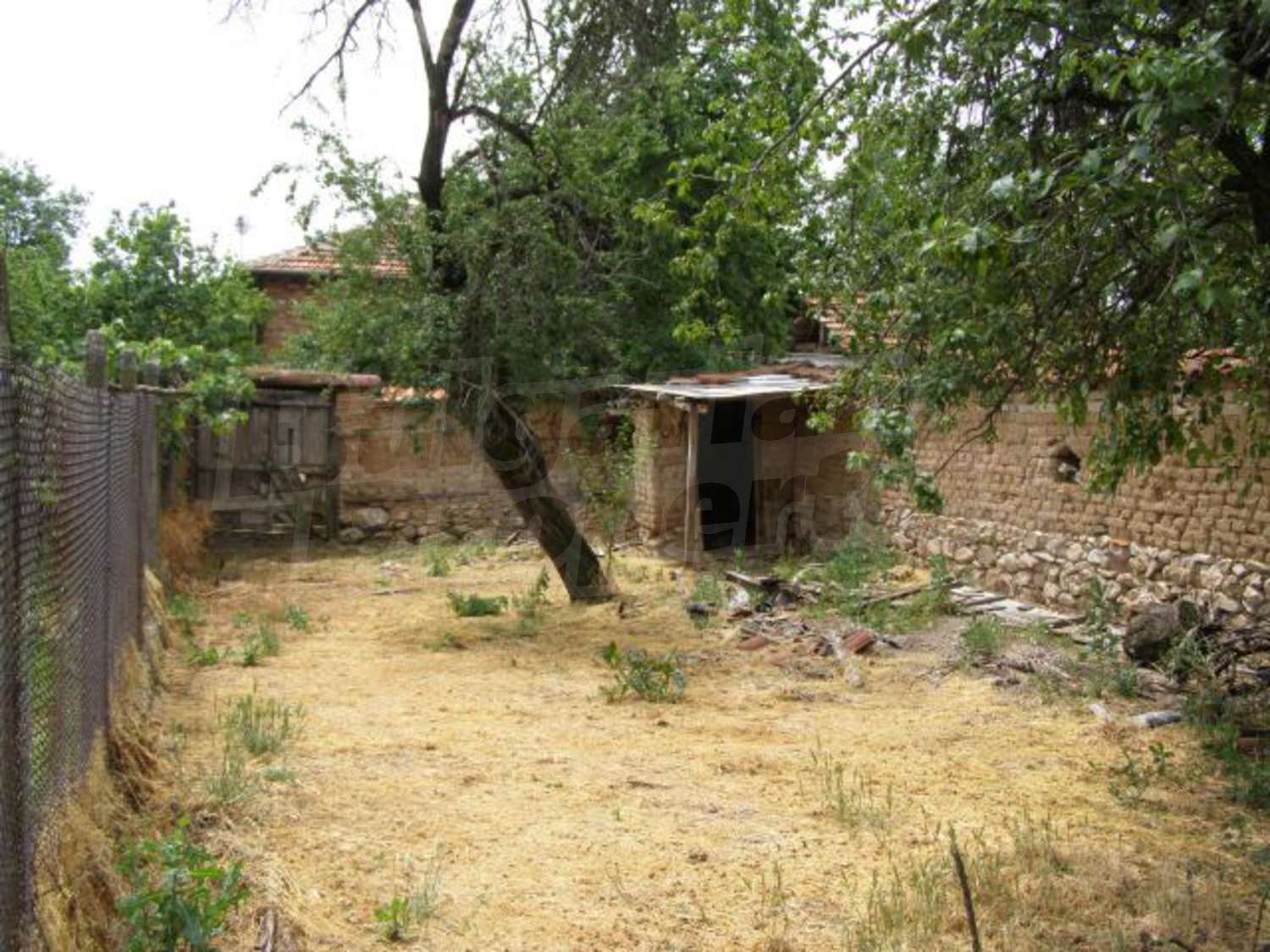 Gallery Picture 28