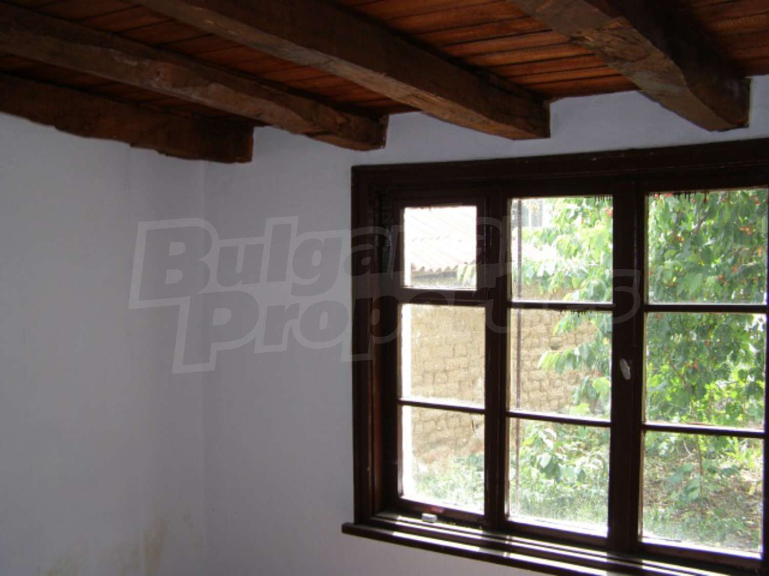 Gallery Picture 8