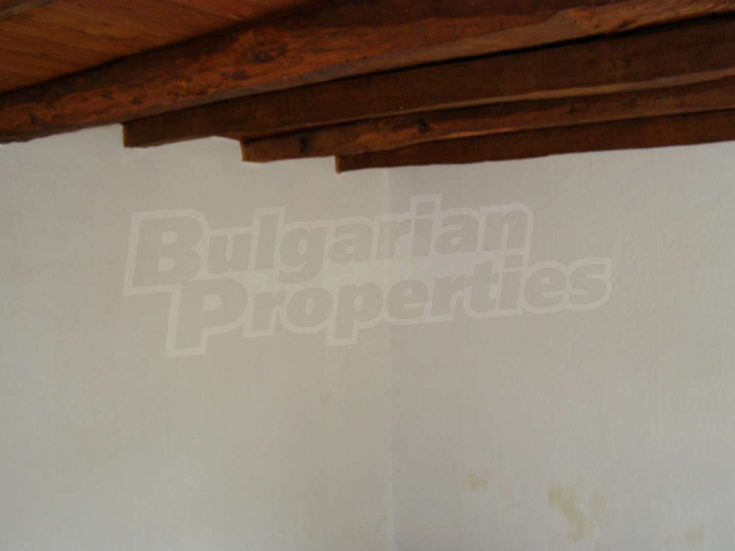 Gallery Picture 9