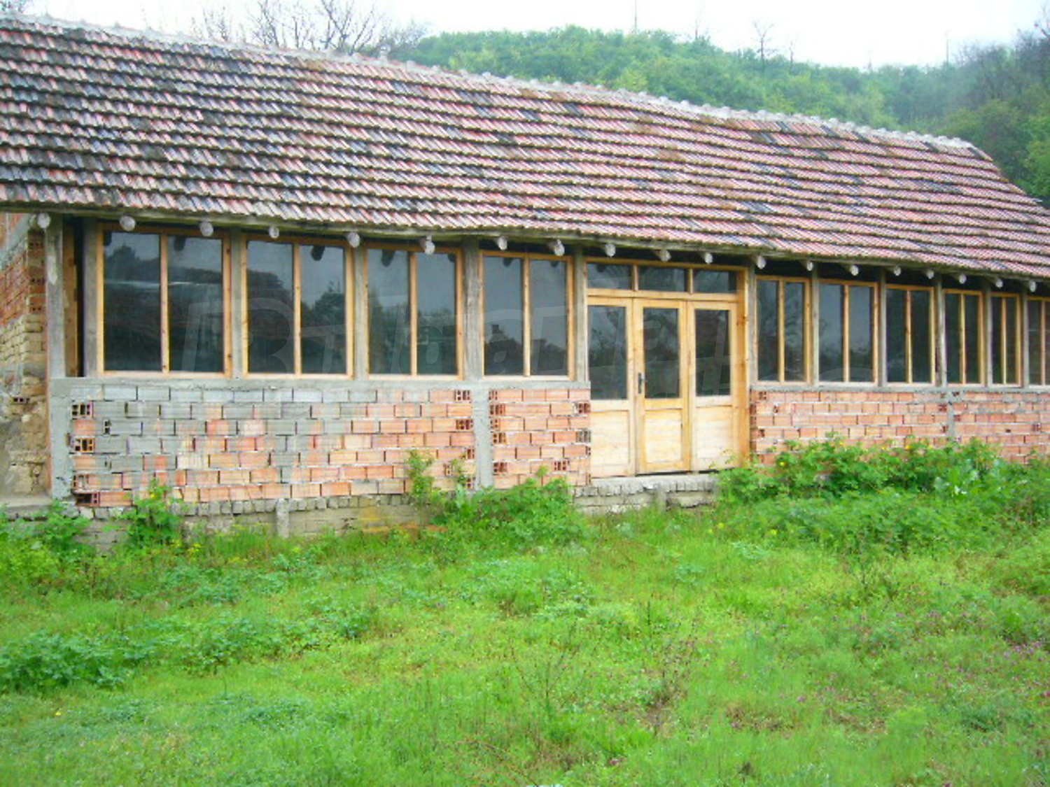 Gallery Picture 11