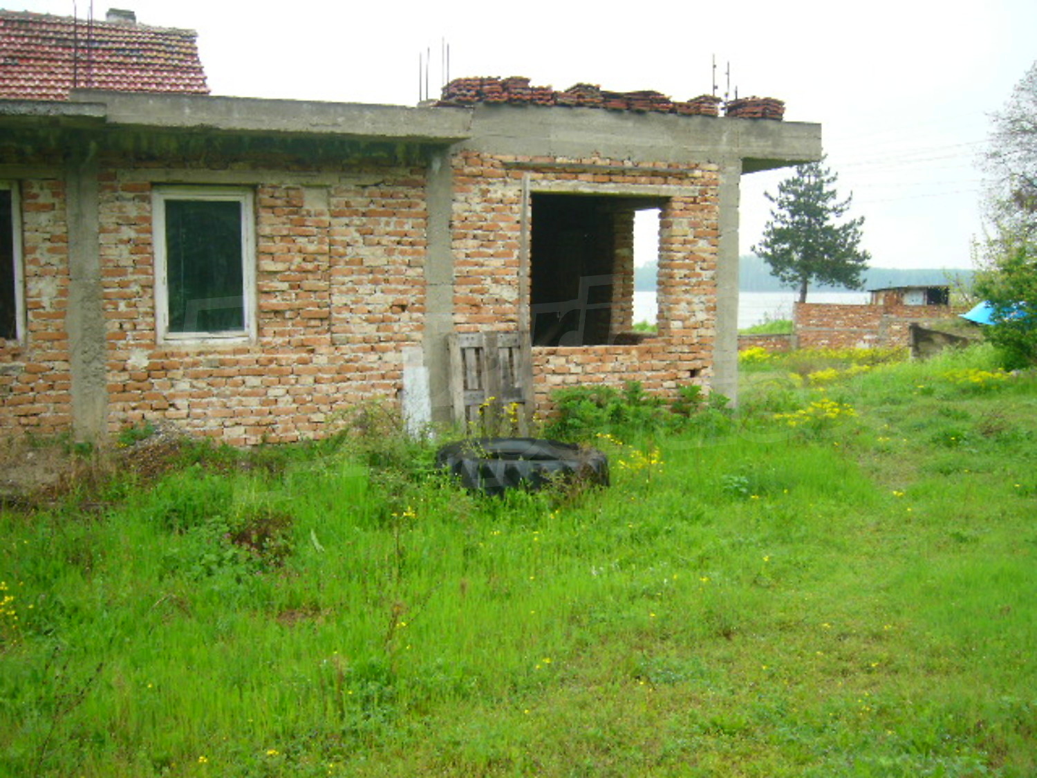 Gallery Picture 12