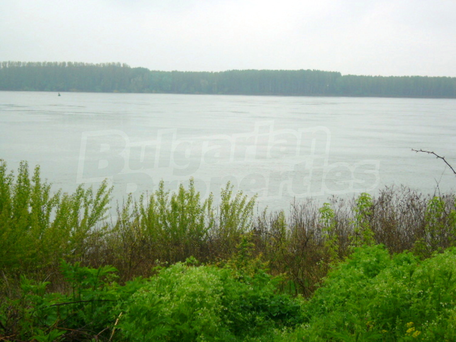 Gallery Picture 22