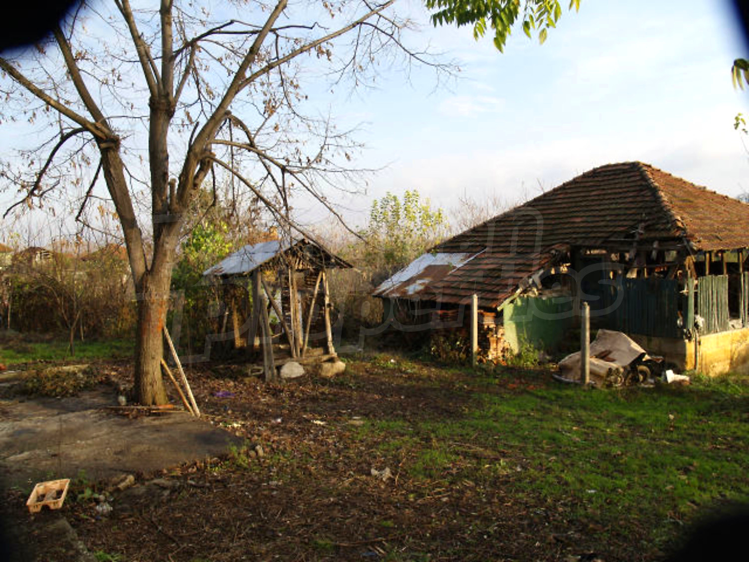 Gallery Picture 11