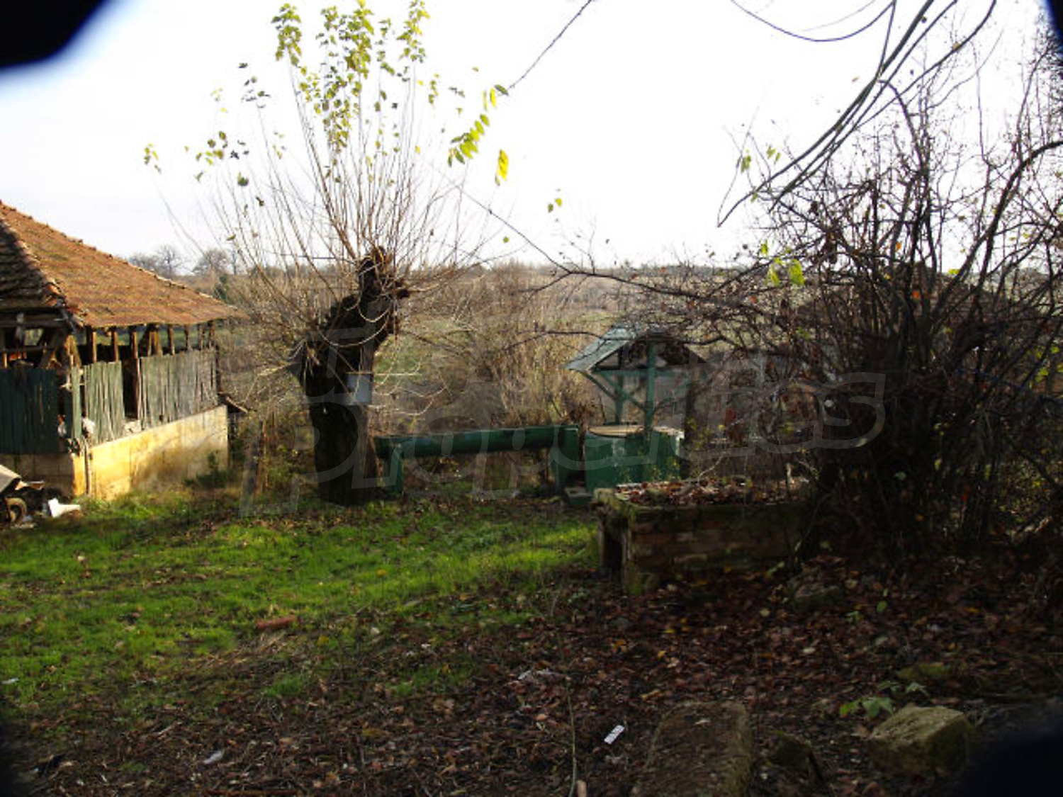 Gallery Picture 12
