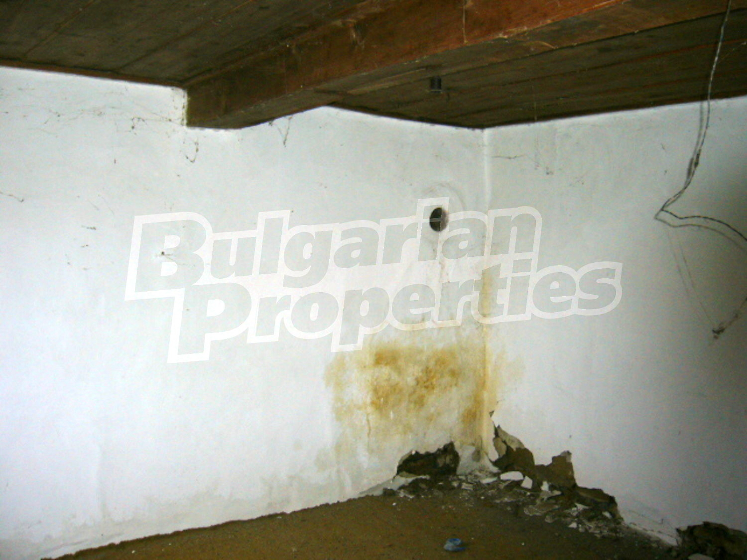 Gallery Picture 5