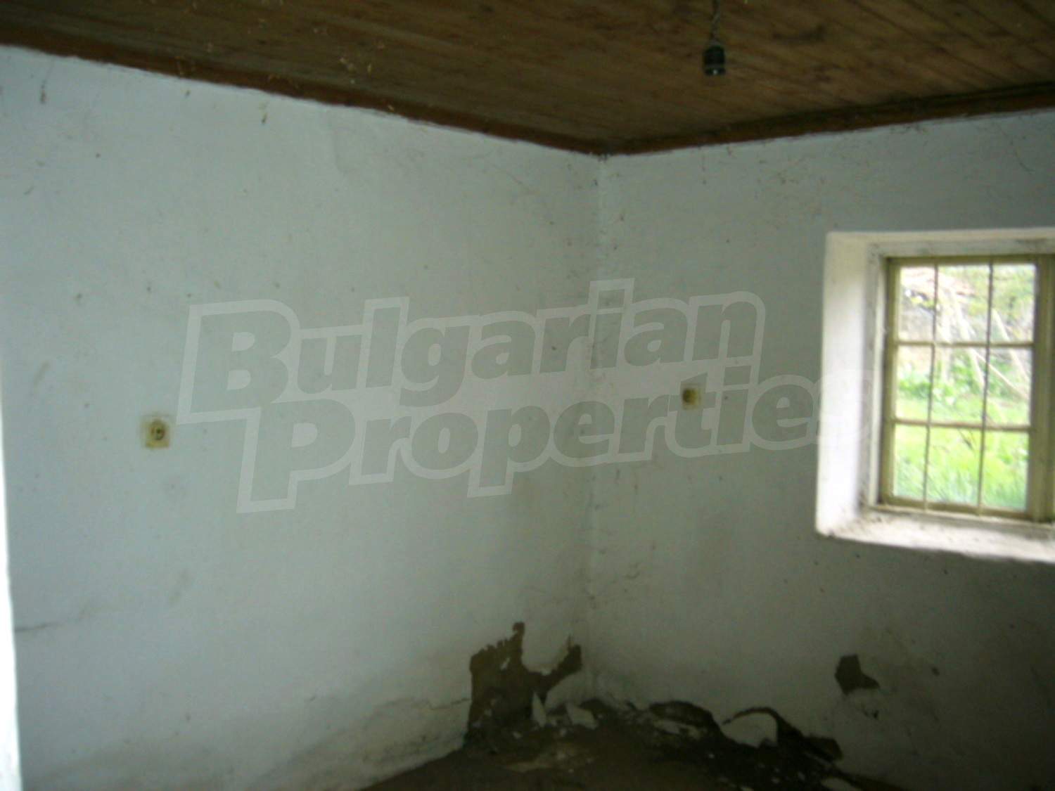 Gallery Picture 6