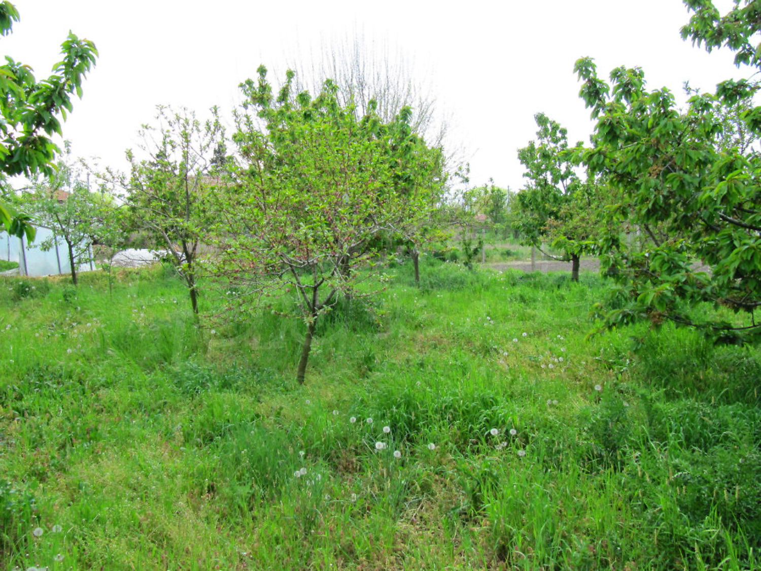 Gallery Picture 11