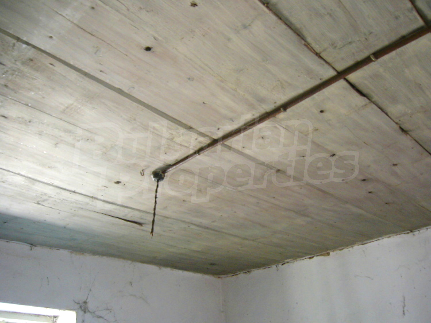 Gallery Picture 9
