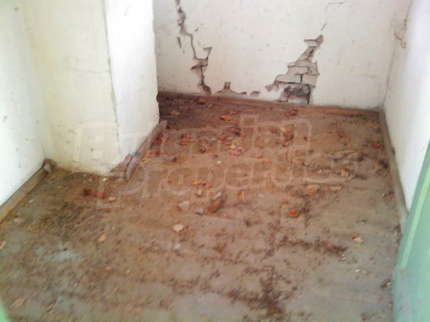 Gallery Picture 10