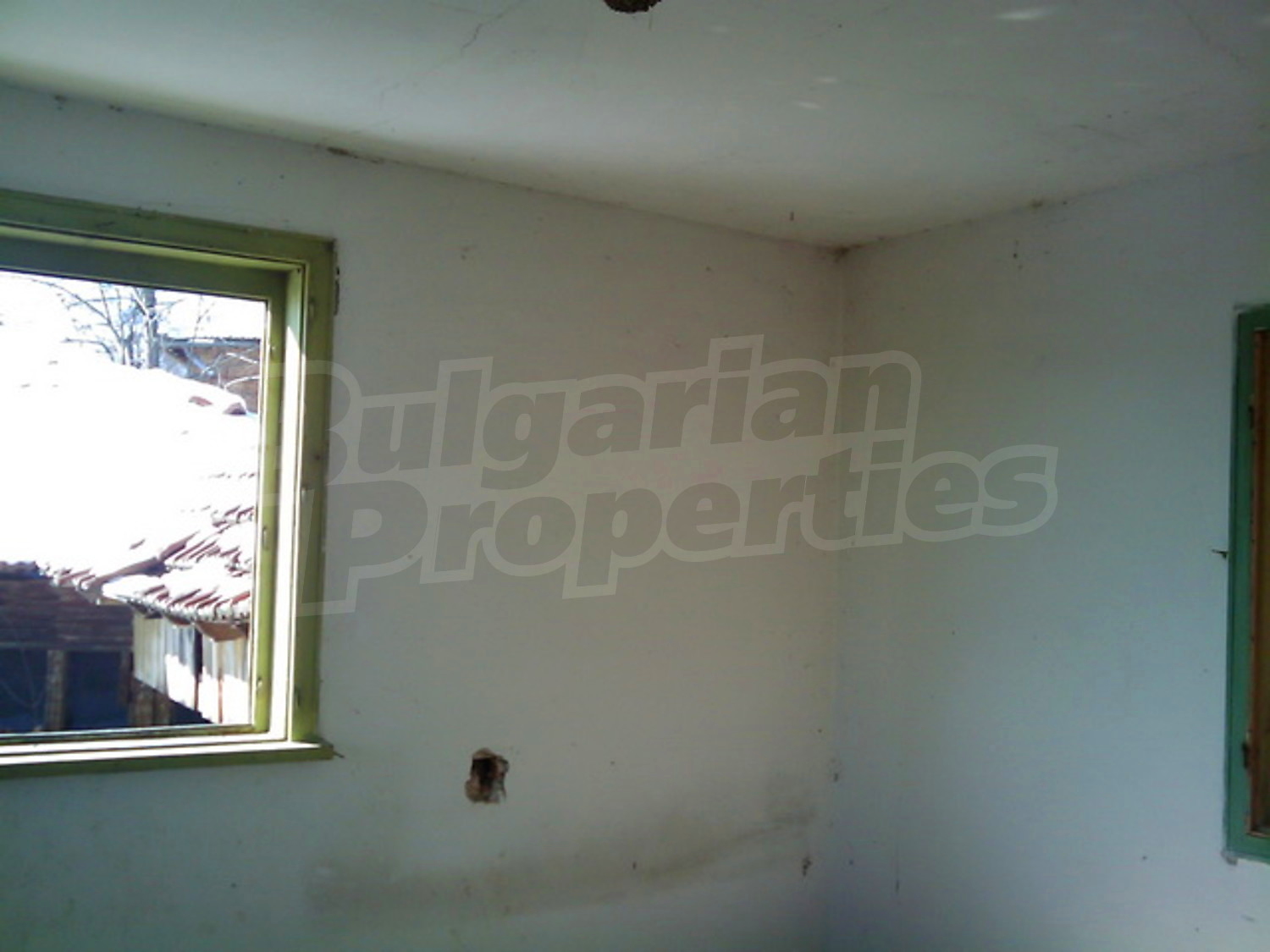 Gallery Picture 11