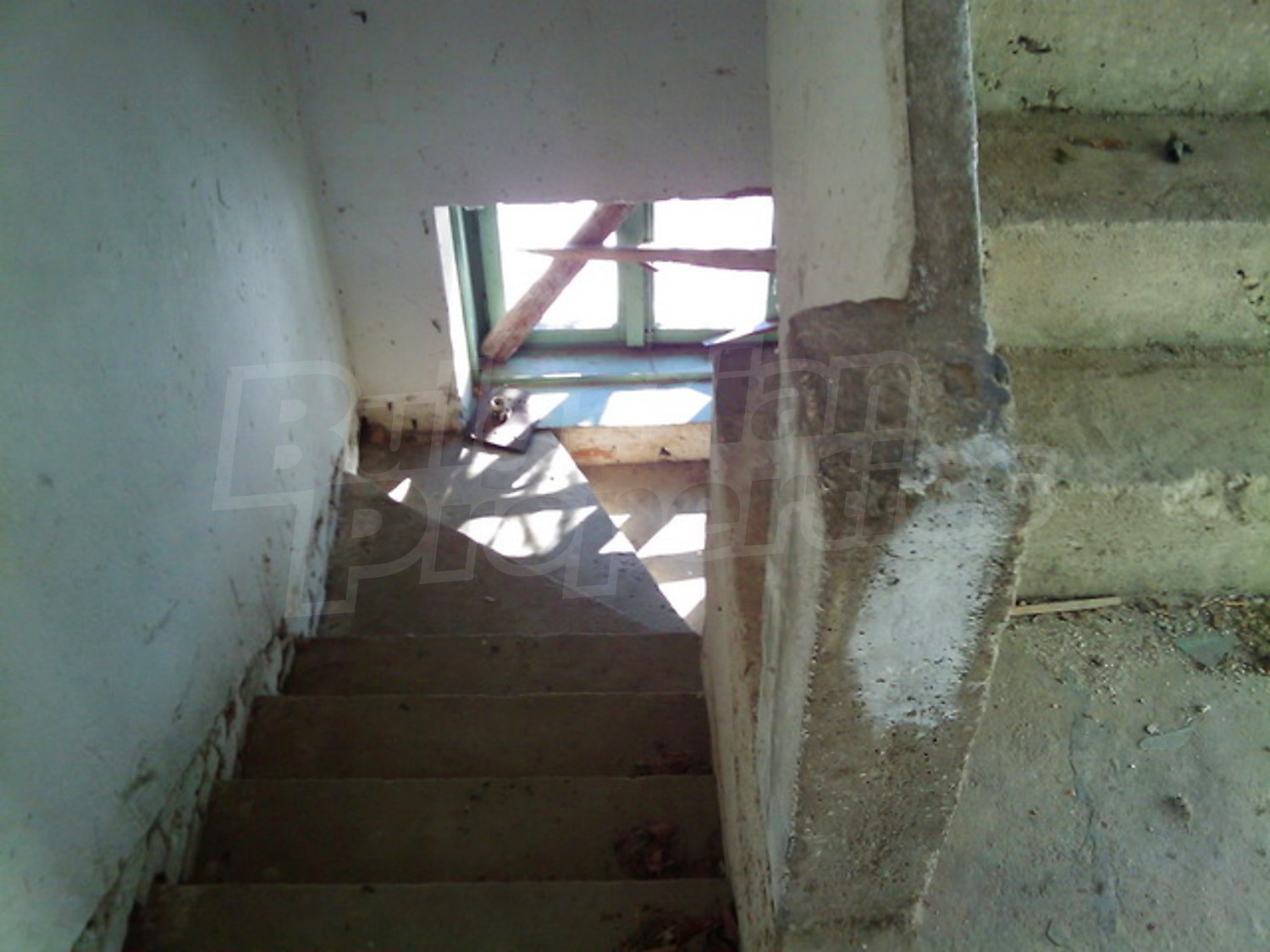 Gallery Picture 12