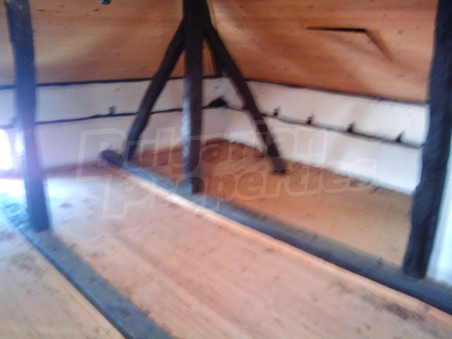 Gallery Picture 14