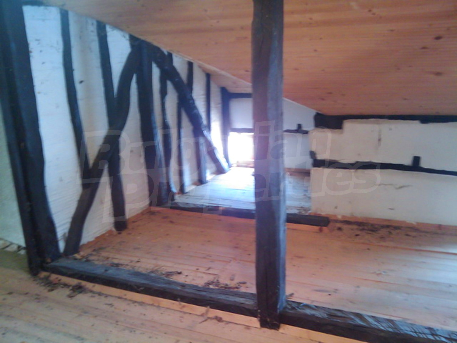 Gallery Picture 15