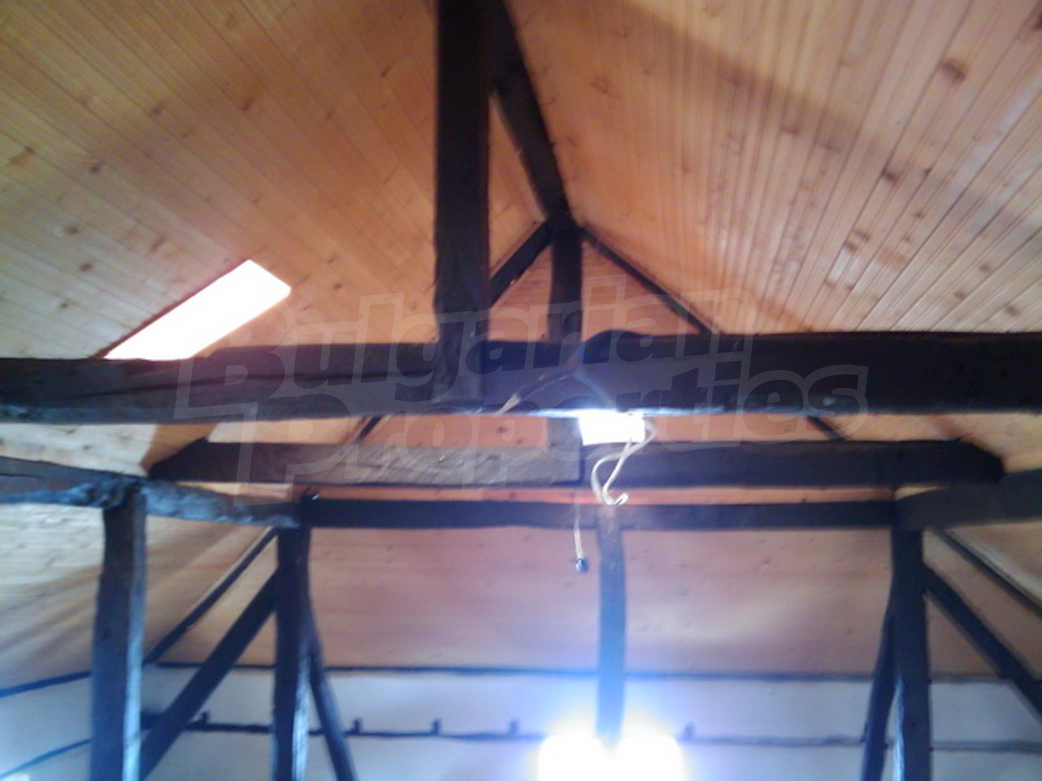 Gallery Picture 16