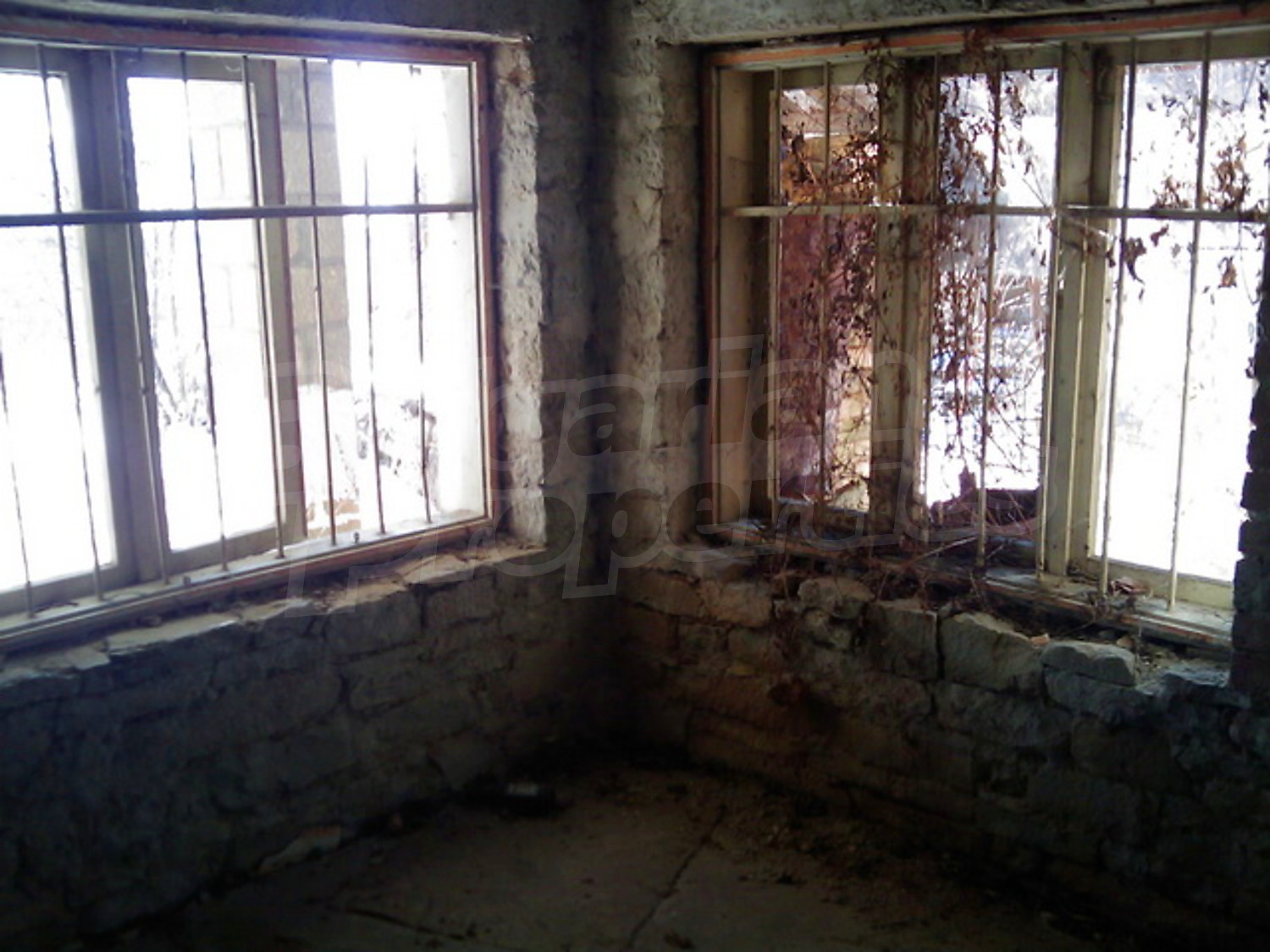 Gallery Picture 18