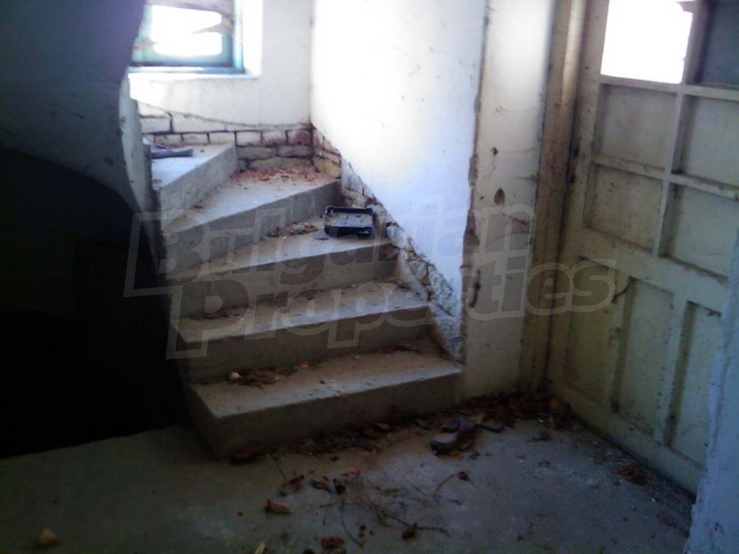 Gallery Picture 19