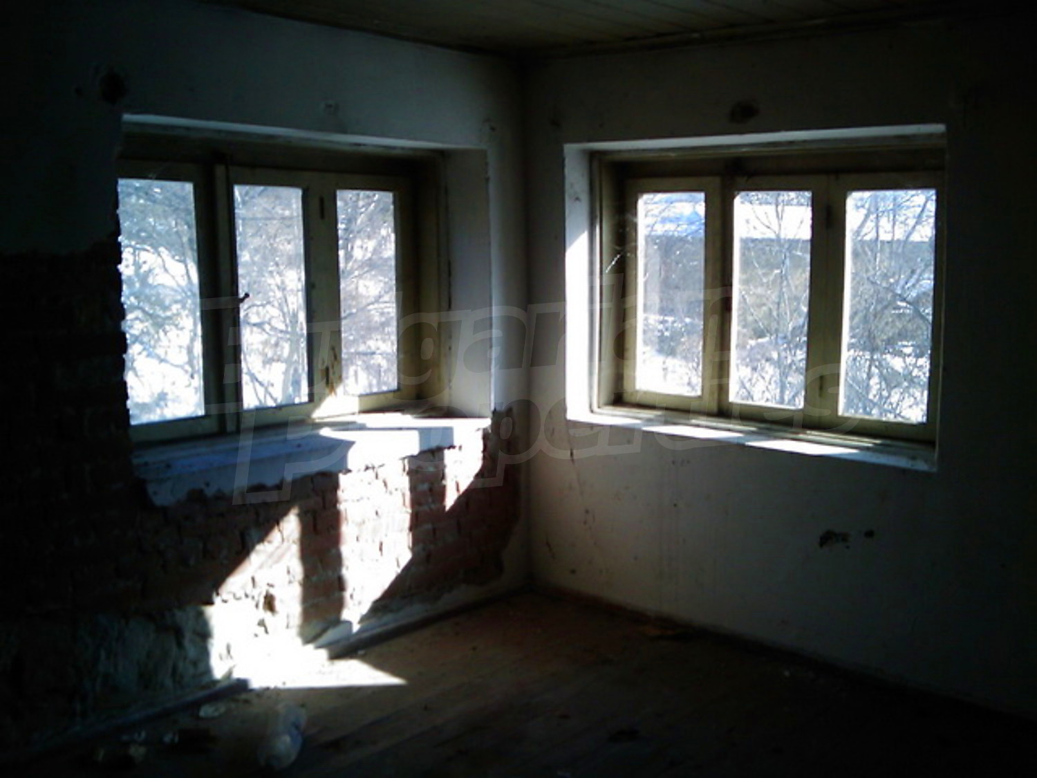Gallery Picture 20