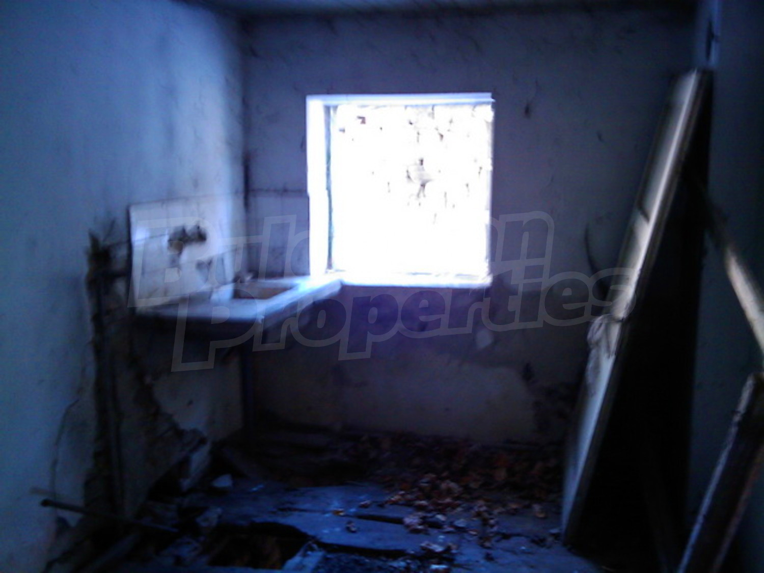 Gallery Picture 21